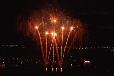 fireworks-palms-mf2.jpg